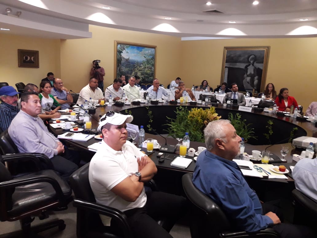 Forestal1